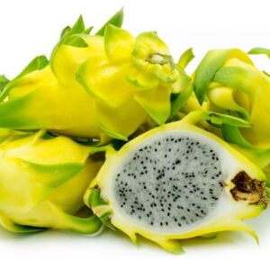 PItahaya amarilla Golden