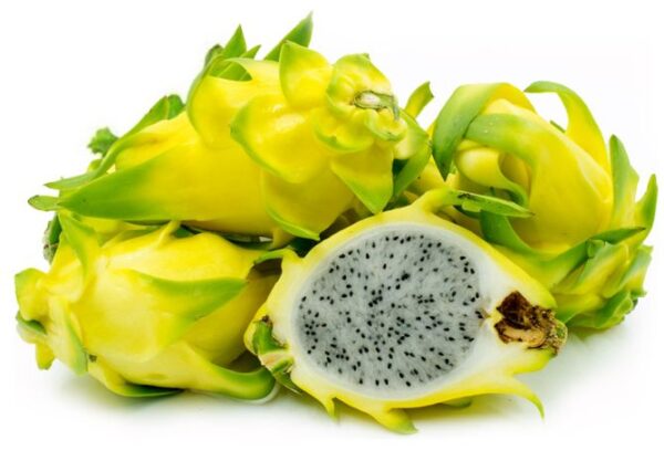 PItahaya amarilla Golden